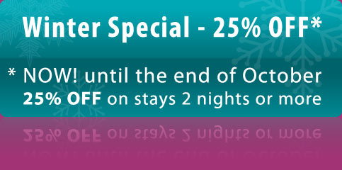 Winter Special